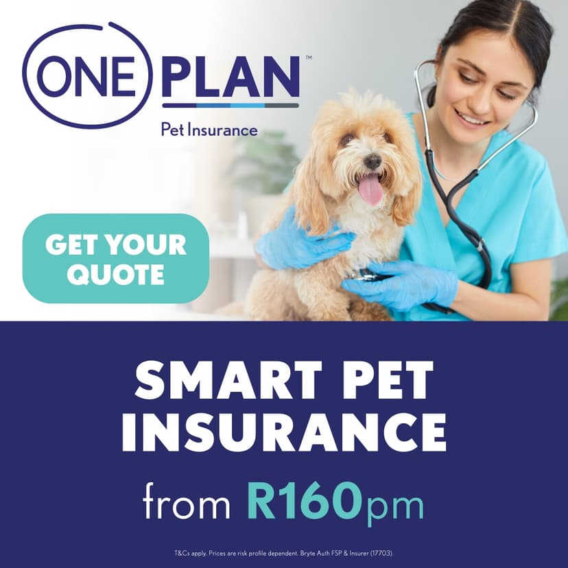 A woman with a stethoscope and a dog